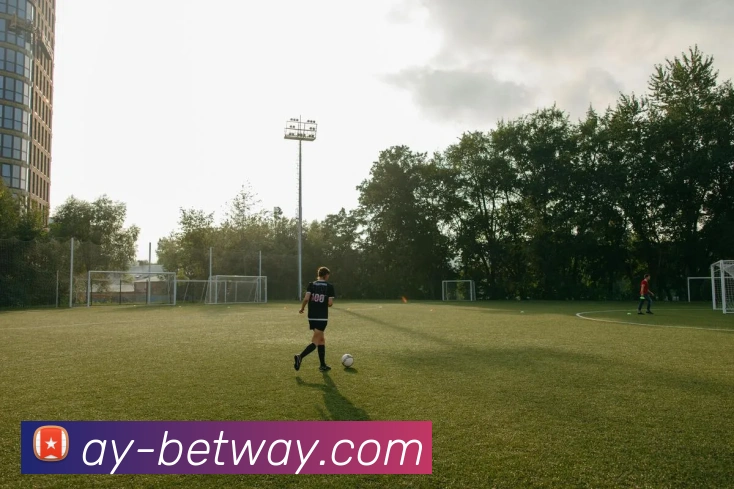 BETWAY必威官网发展历程